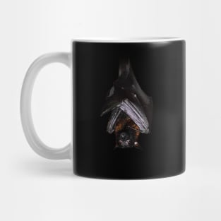 Lyle's flying fox Mug